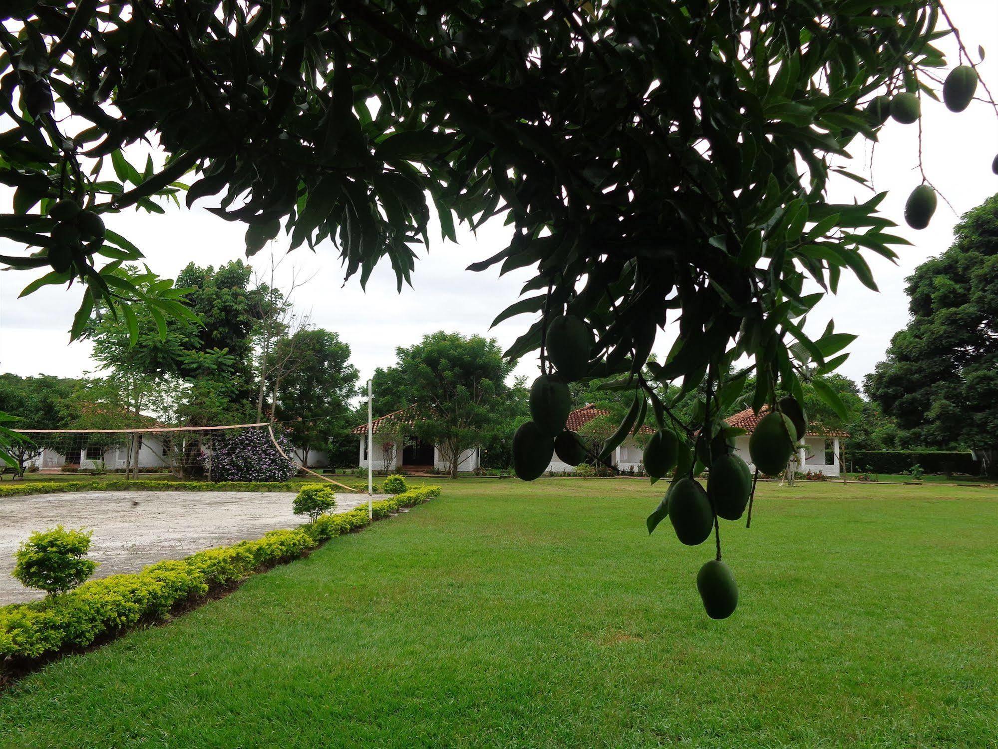 Hotel Campestre Arboretto Villavicencio Esterno foto