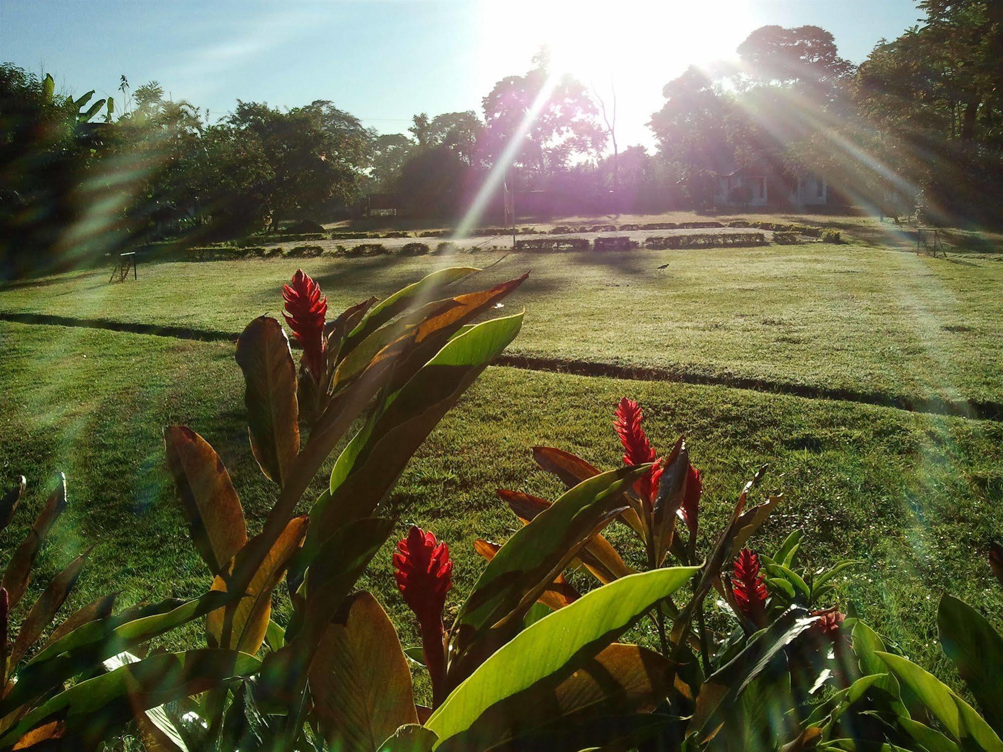 Hotel Campestre Arboretto Villavicencio Esterno foto