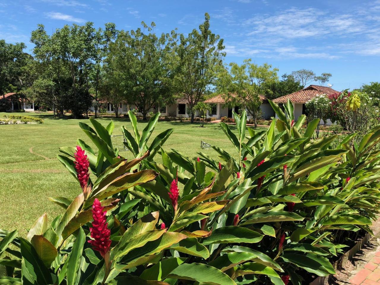 Hotel Campestre Arboretto Villavicencio Esterno foto